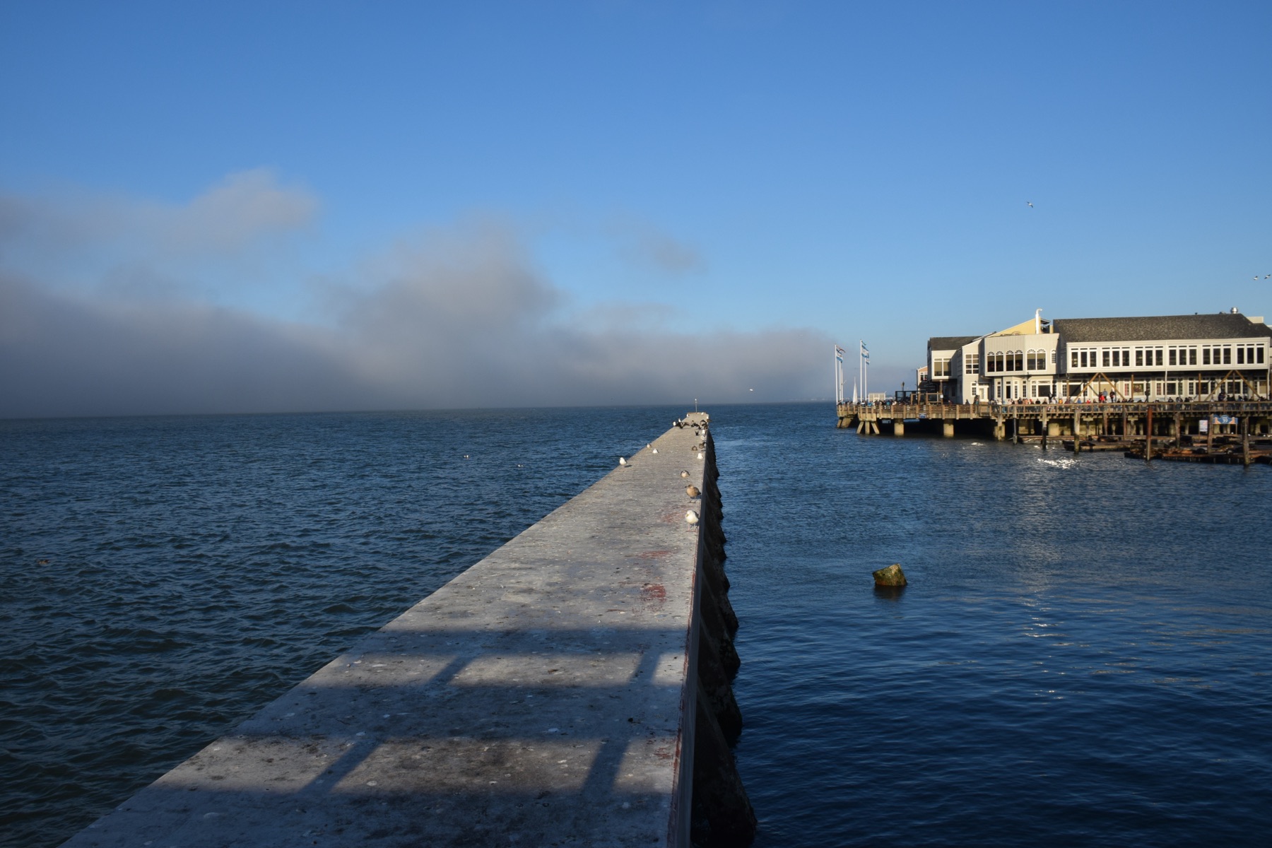 Photograph 2 by Amit Marathe