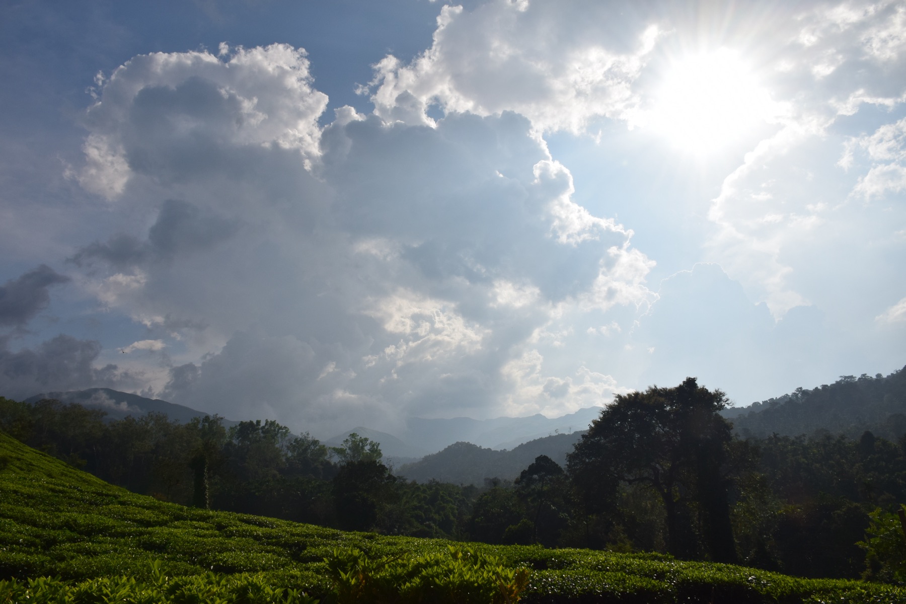 Photograph 4 by Amit Marathe